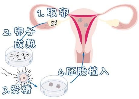周医生